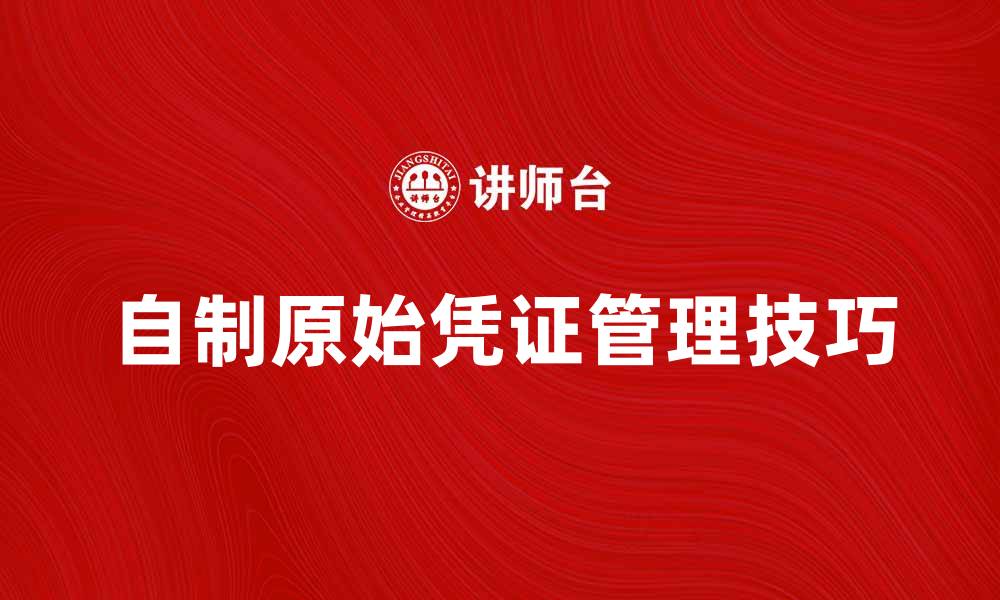 文章自制原始凭证的正确使用与管理技巧的缩略图