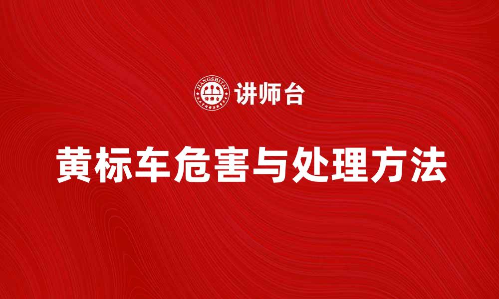 文章黄标车的危害与处理方法详解，助您安全出行的缩略图