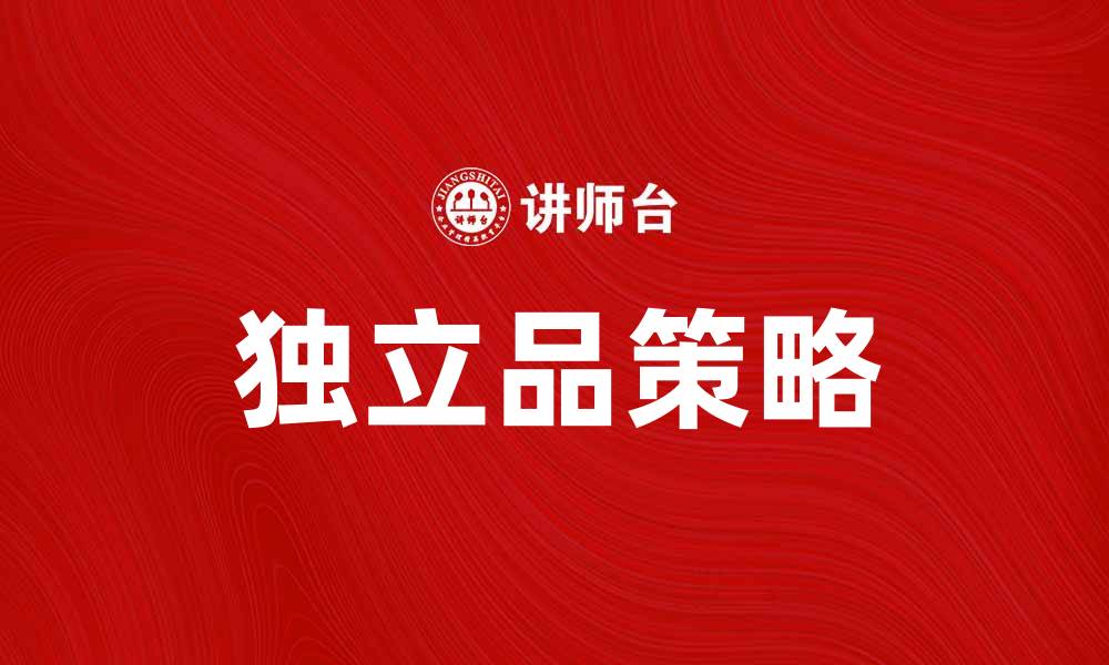 文章提升品牌价值的独立品策略分析与实践的缩略图