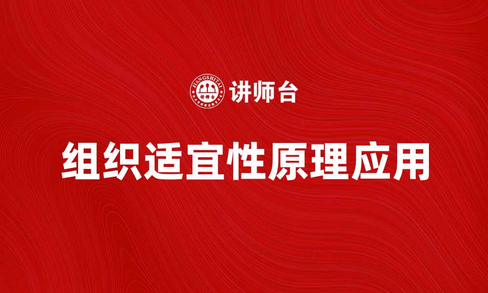文章探索组织适宜性原理在企业管理中的应用与价值的缩略图