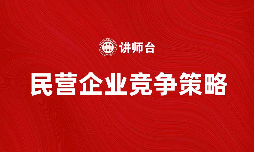 民营企业竞争策略