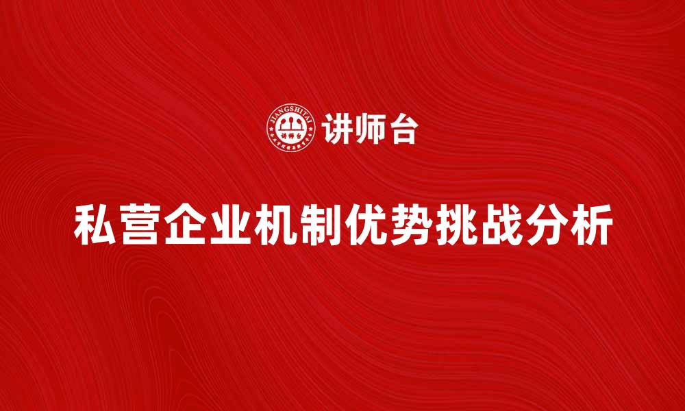 文章私营企业机制的优势与挑战分析的缩略图