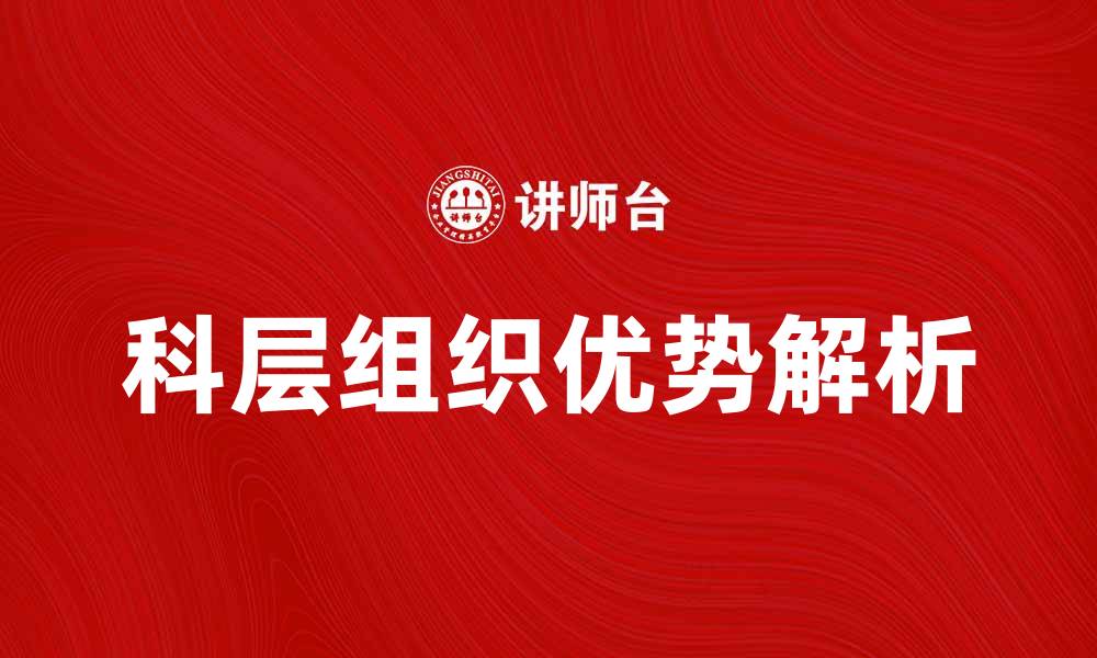 科层组织优势解析
