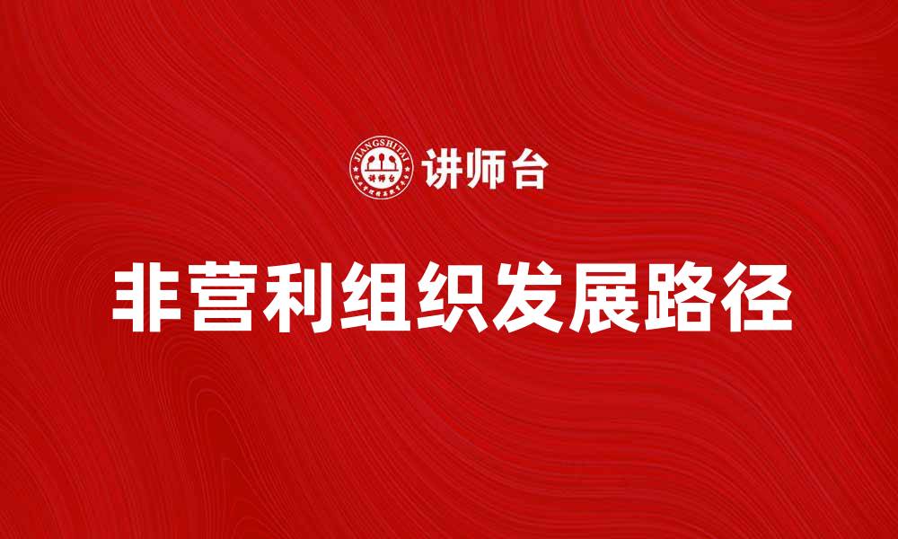 文章探索其他非营利组织的影响与发展路径的缩略图
