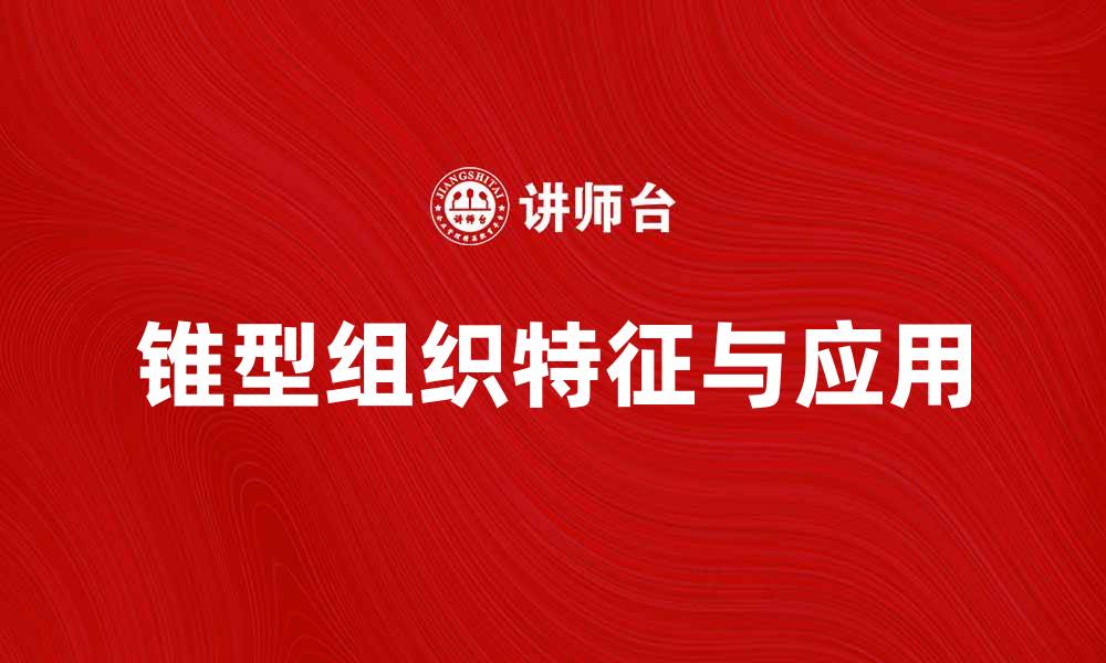 锥型组织特征与应用