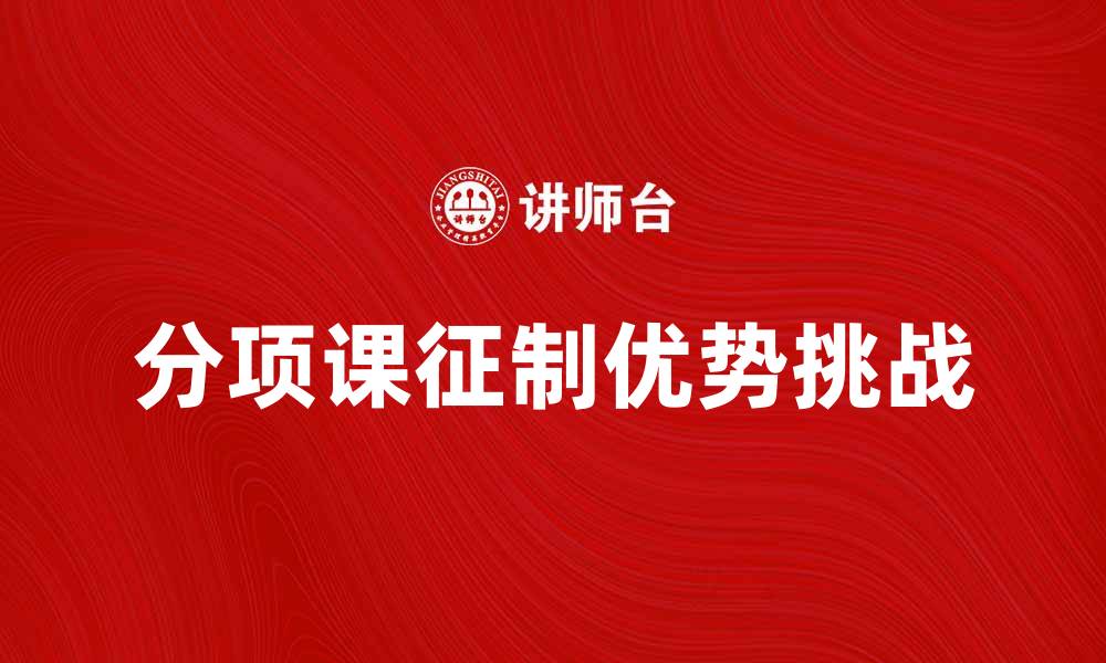 文章深入解析分项课征制的优势与挑战的缩略图