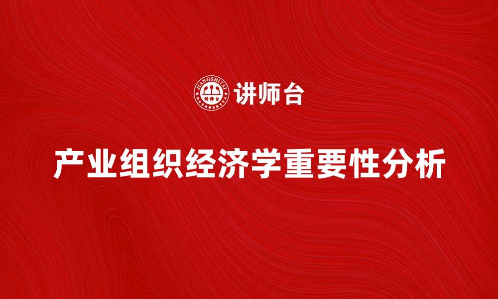 文章产业组织经济学在现代市场中的重要性解析的缩略图