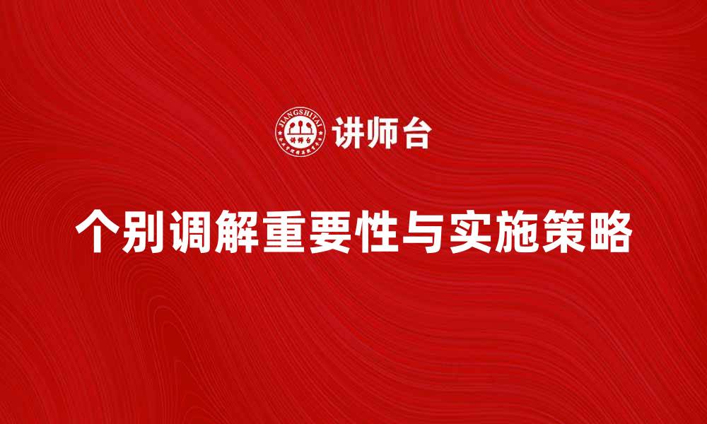 个别调解重要性与实施策略