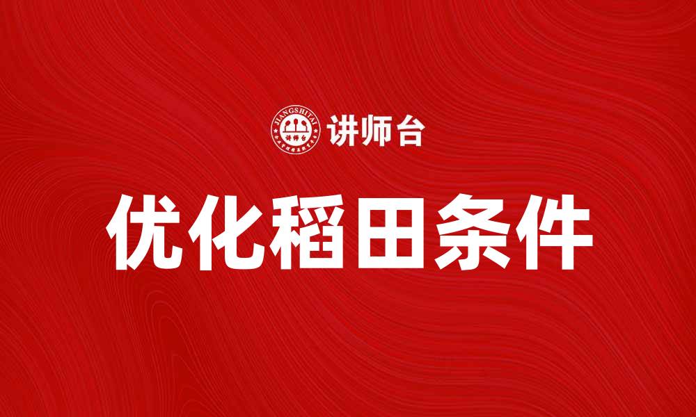 文章优化稻田条件，提高水稻产量的有效方法的缩略图
