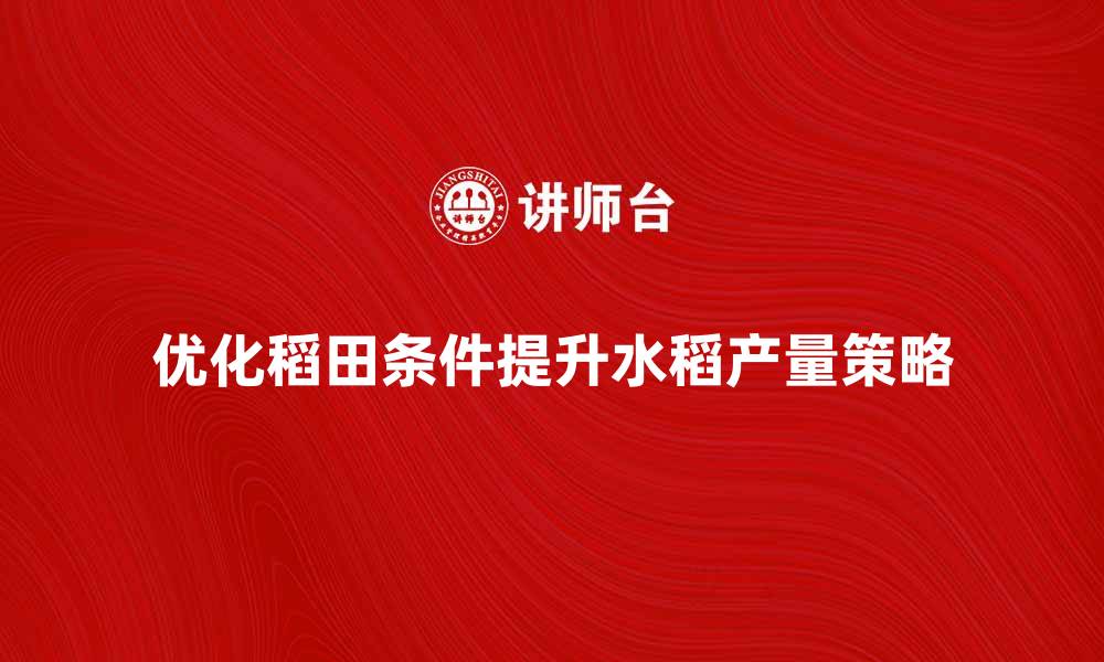 文章优化稻田条件，提升水稻产量的有效策略的缩略图