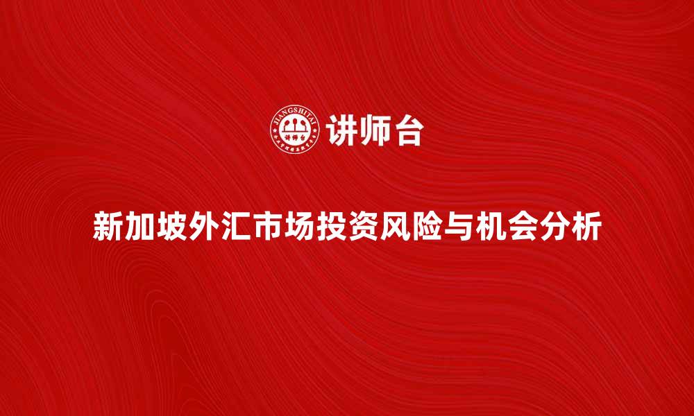 新加坡外汇市场投资风险与机会分析