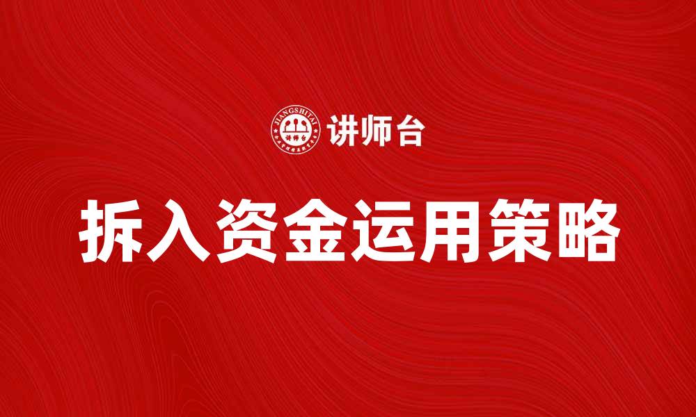拆入资金运用策略
