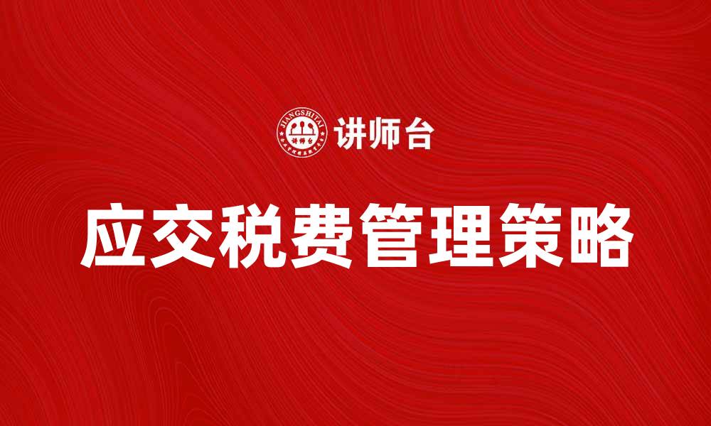 应交税费管理策略