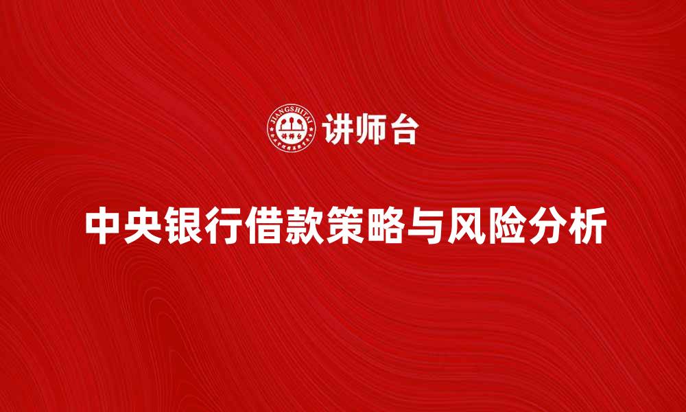 中央银行借款策略与风险分析