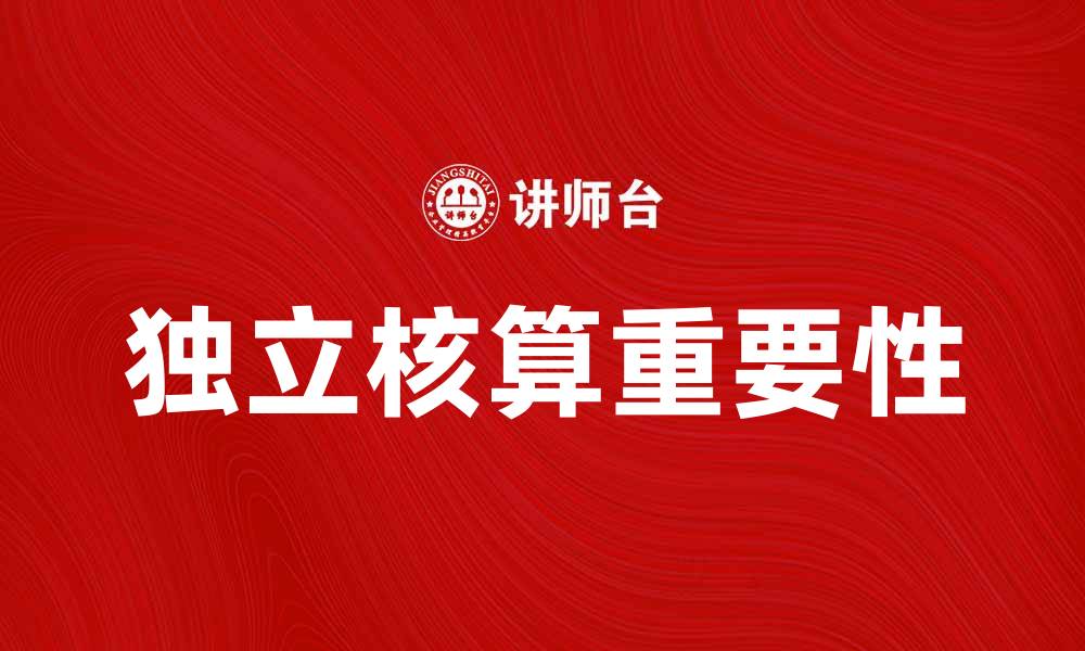 文章独立核算的重要性与实施策略解析的缩略图