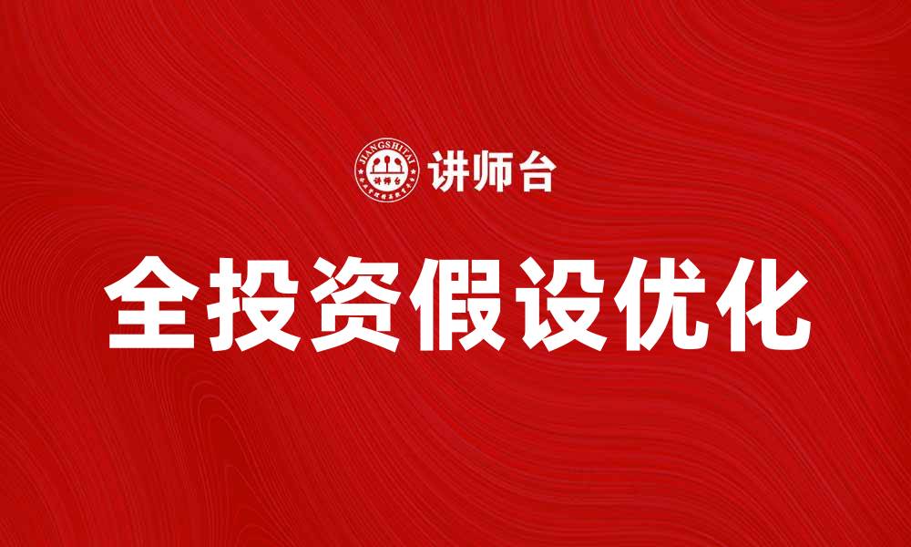 全投资假设优化