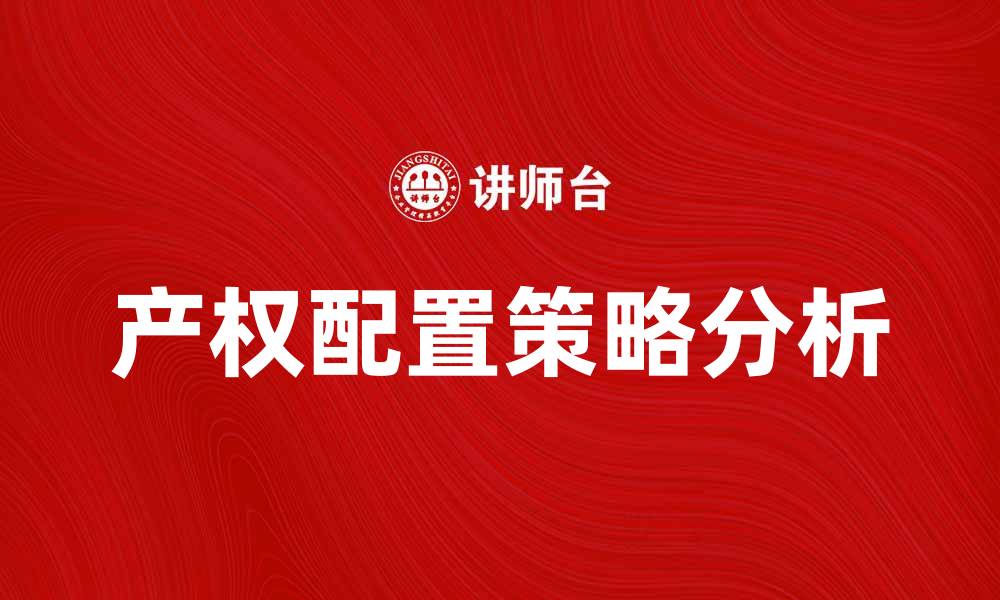 产权配置策略分析