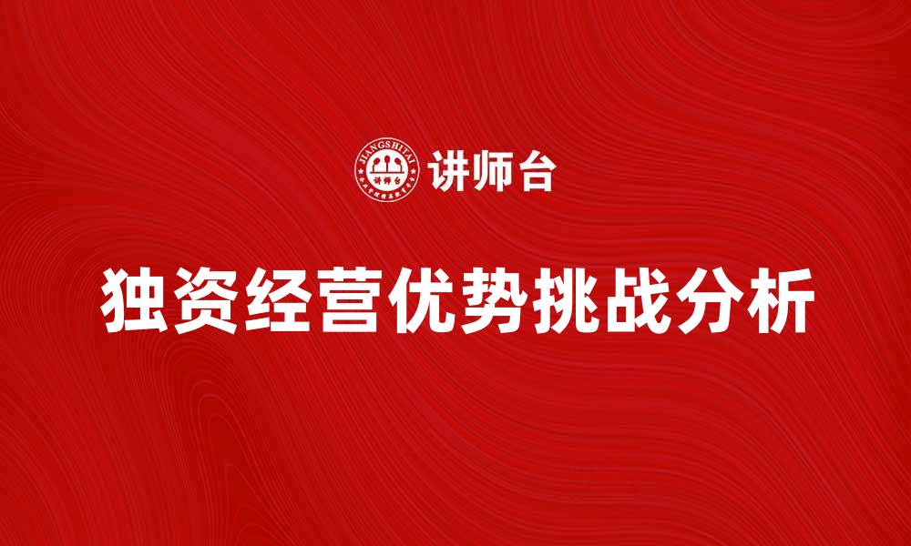 独资经营优势挑战分析