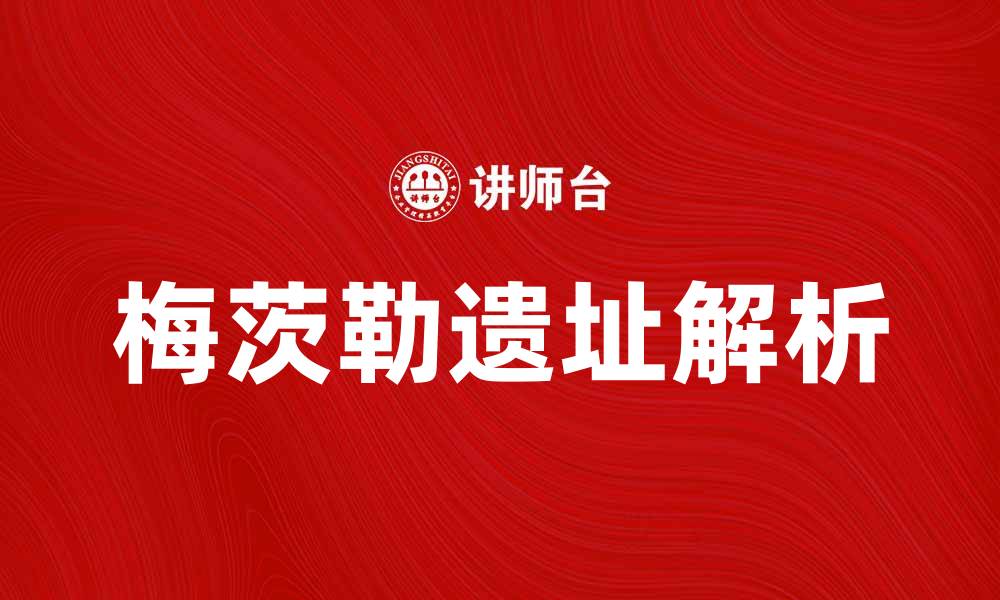文章揭秘梅茨勒之谜：历史背后的真相与猜想的缩略图