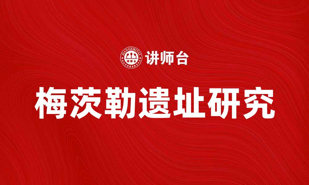 文章揭秘梅茨勒之谜：探索历史背后的奥秘的缩略图