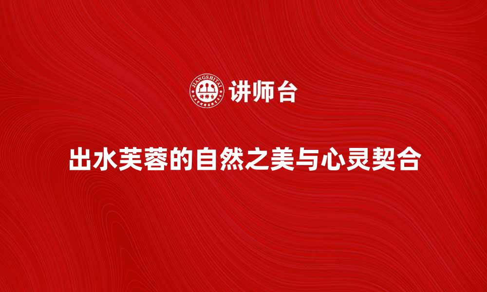 文章出水芙蓉：探寻自然之美与心灵的契合的缩略图