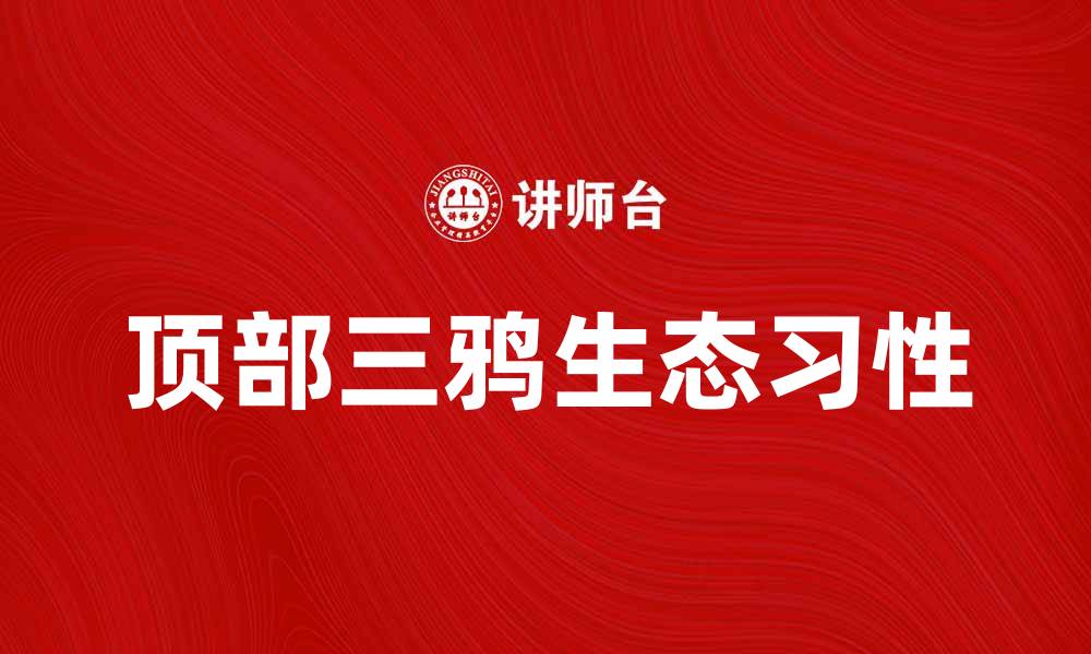 文章探索顶部三鸦的生态习性与生存环境的缩略图