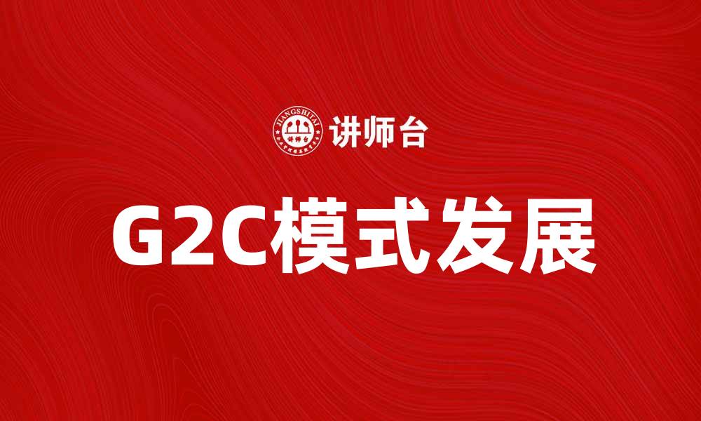 G2C模式发展