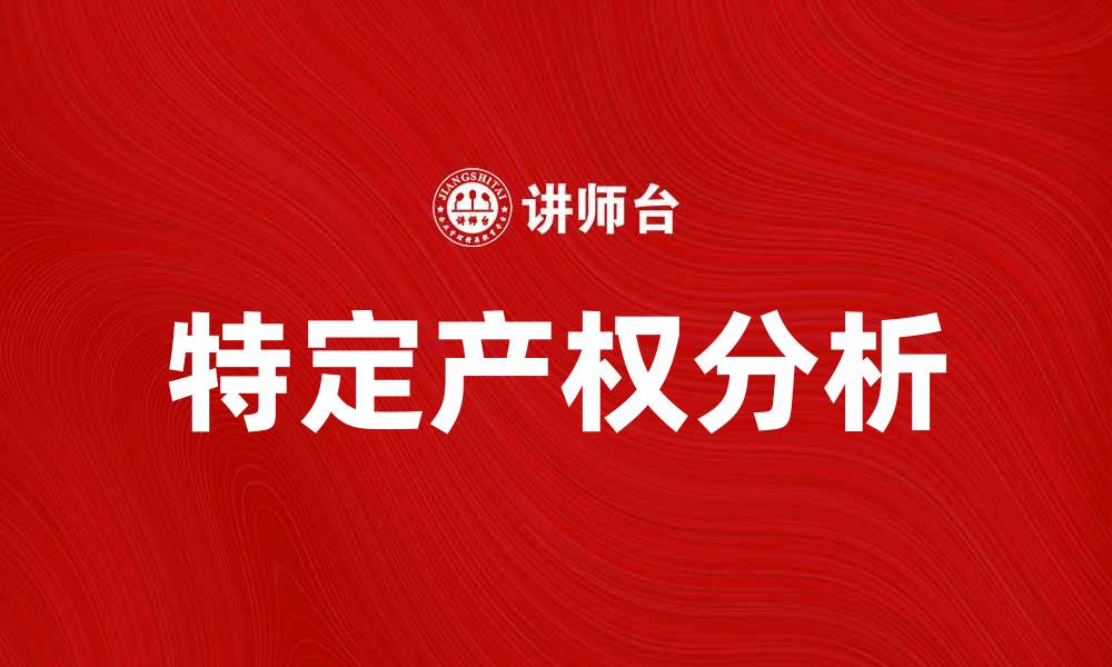 特定产权分析
