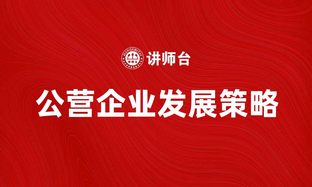 文章公营企业的优势与发展策略解析的缩略图