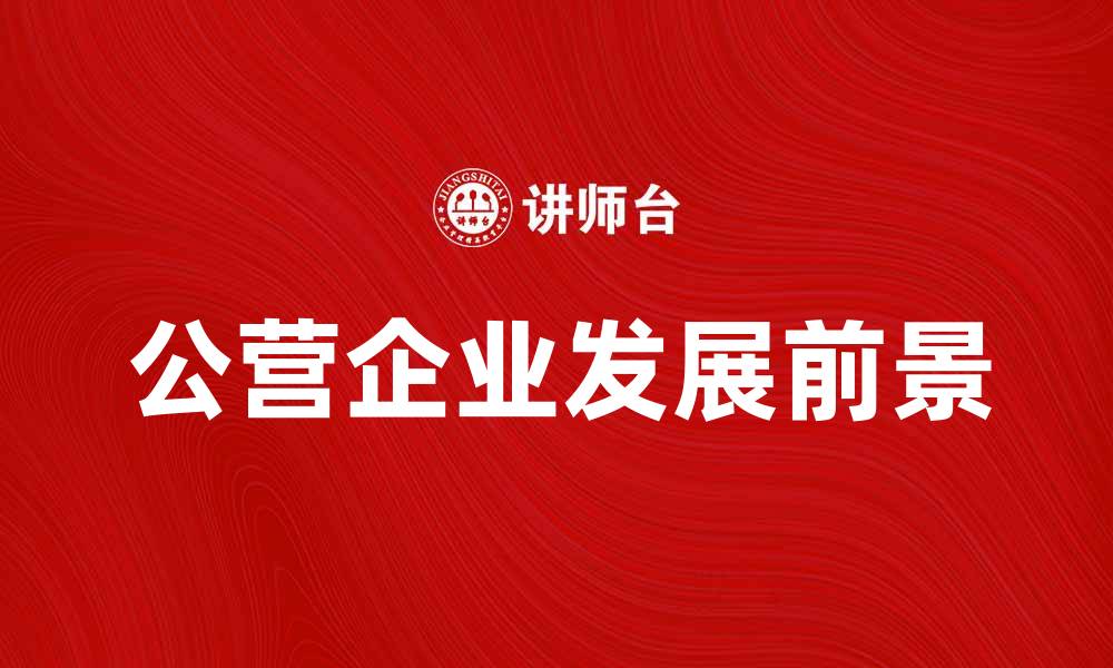 文章公营企业在现代经济中的重要性与发展前景分析的缩略图
