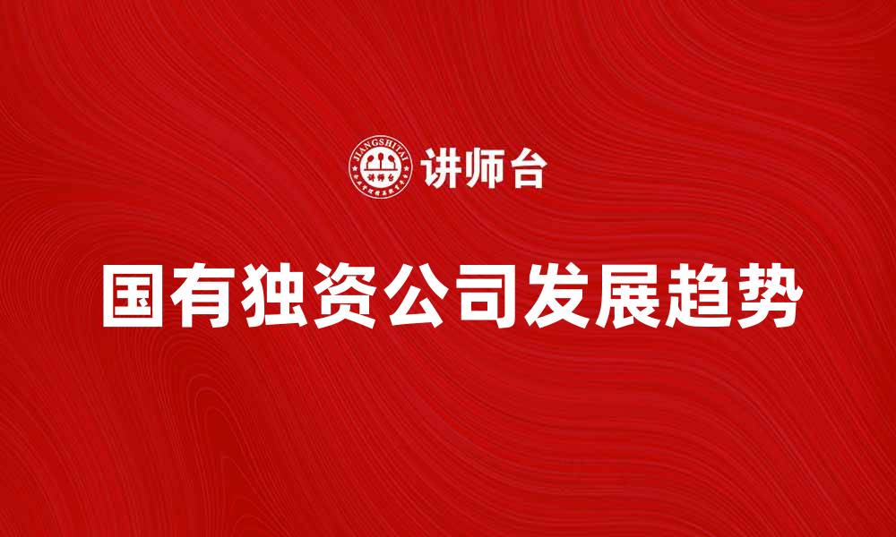 文章国有独资公司发展现状与未来趋势分析的缩略图
