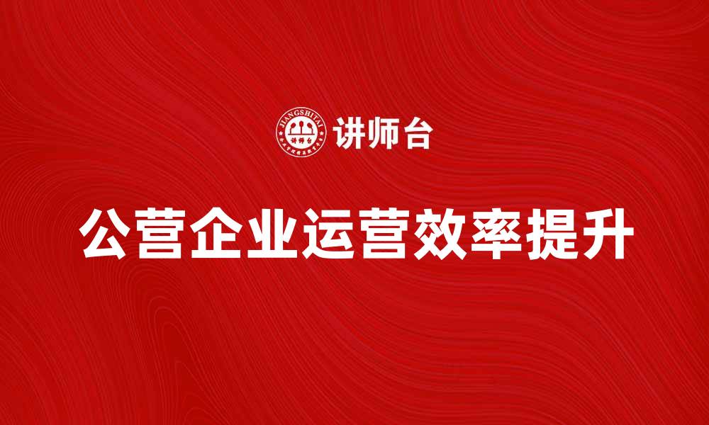 文章如何提升公营企业的运营效率与竞争力的缩略图