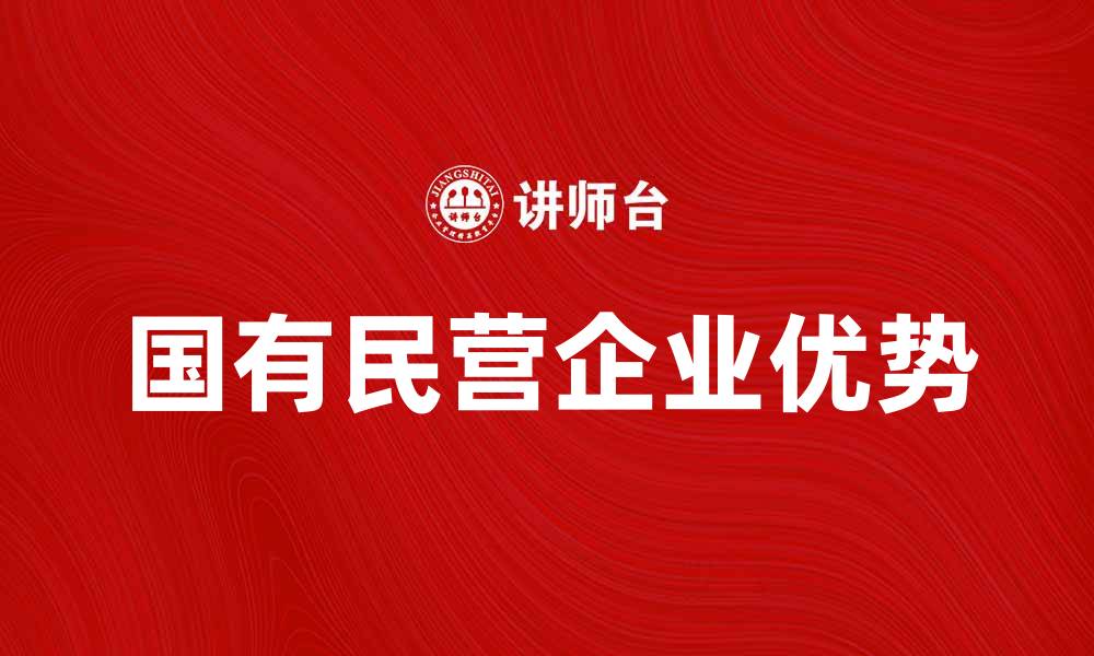 国有民营企业优势