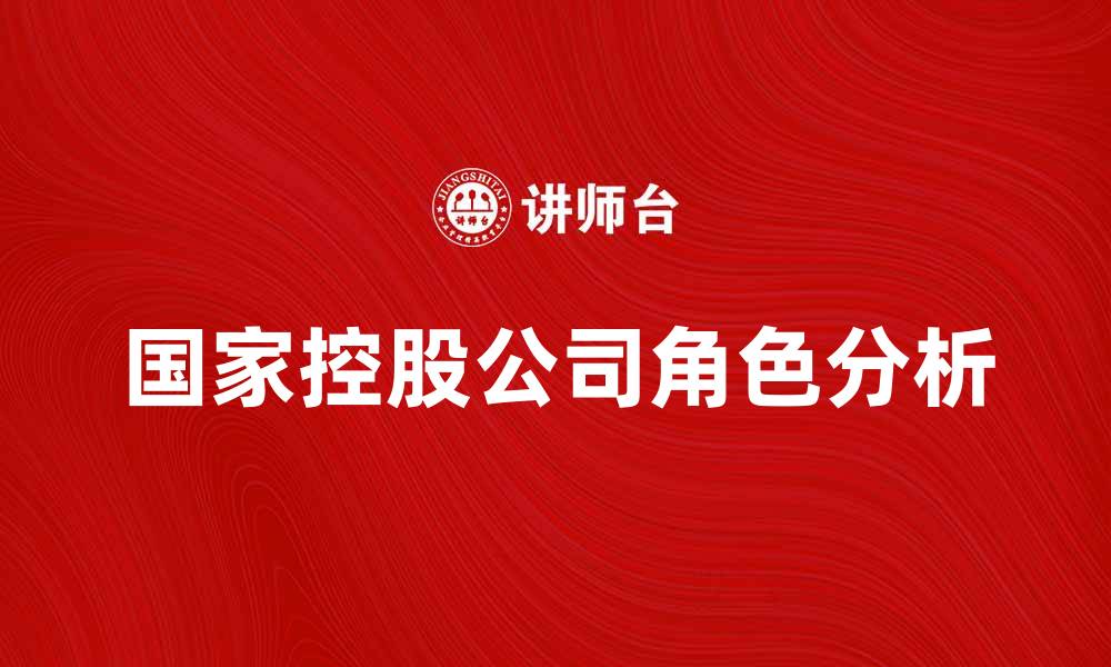 国家控股公司角色分析
