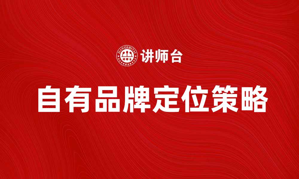 文章自有品牌定位：成功品牌战略的关键要素的缩略图