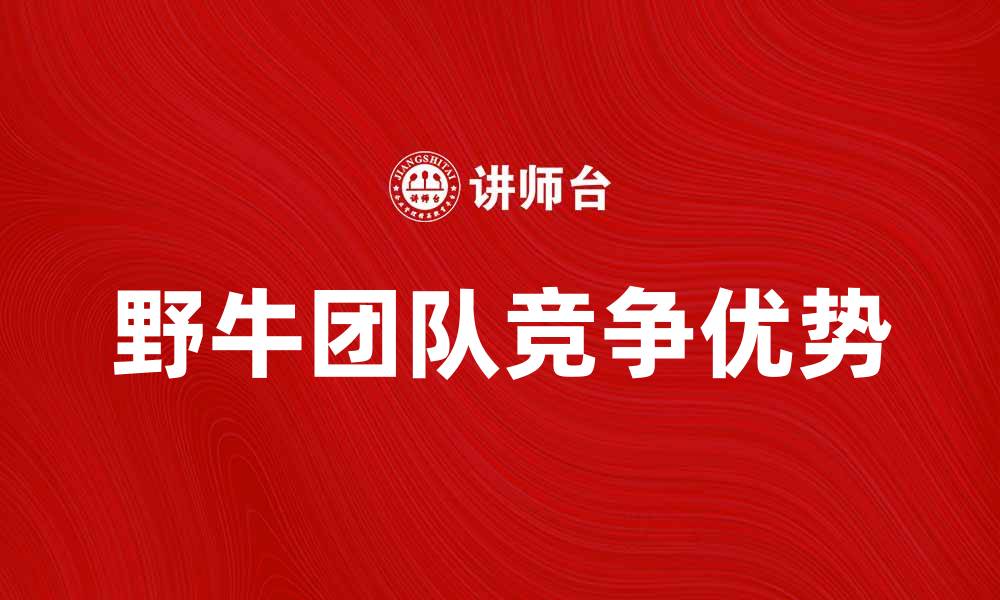 文章探秘野牛团队：如何在竞争中脱颖而出的缩略图
