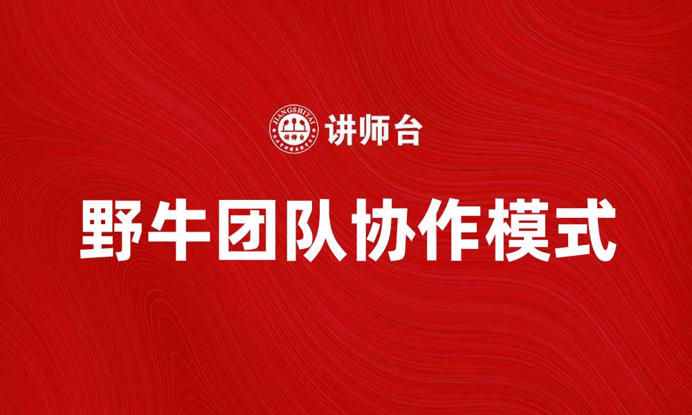 野牛团队协作模式