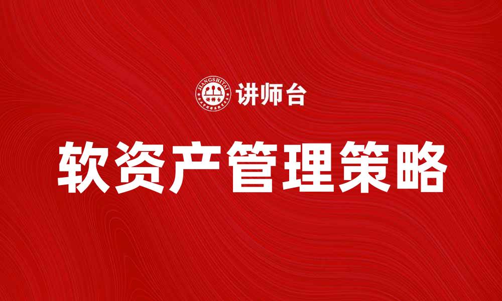 软资产管理策略