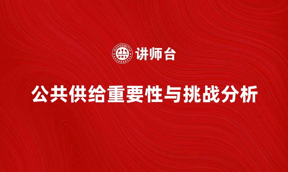 文章公共供给对社会发展的重要性与挑战分析的缩略图