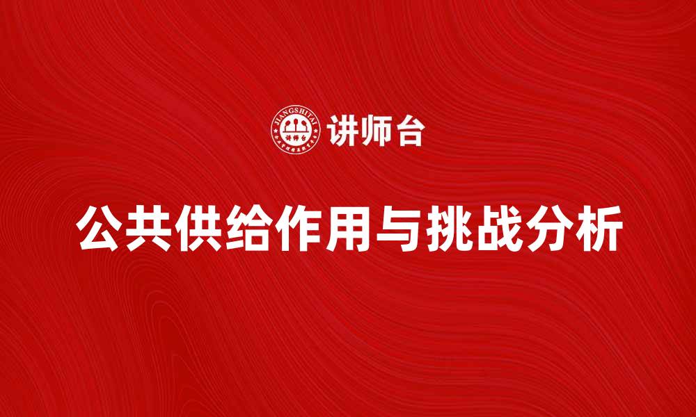 公共供给作用与挑战分析