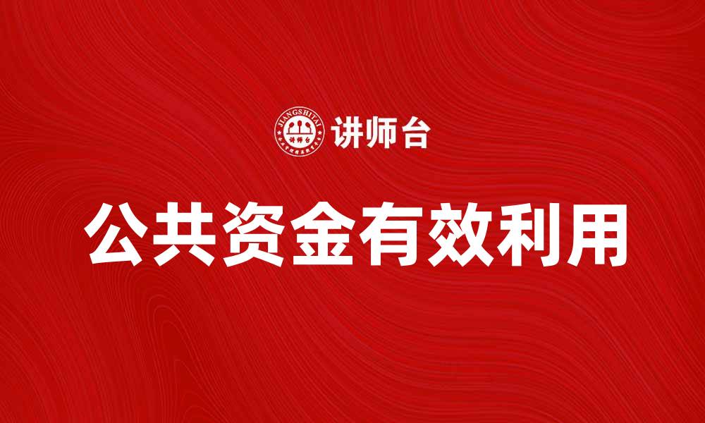 文章如何有效利用公共资金推动社会发展与创新的缩略图