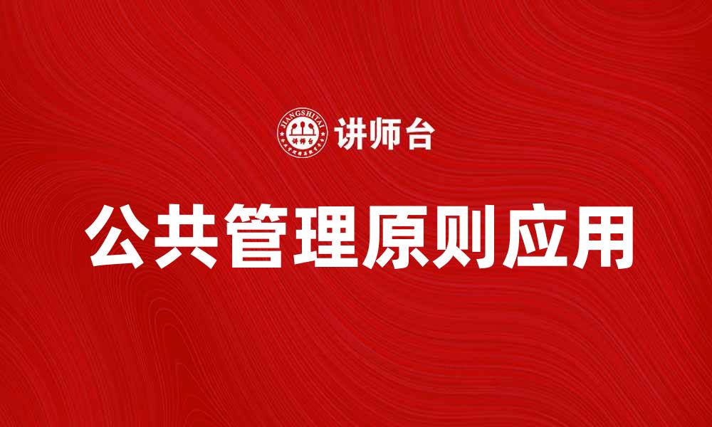 公共管理原则应用