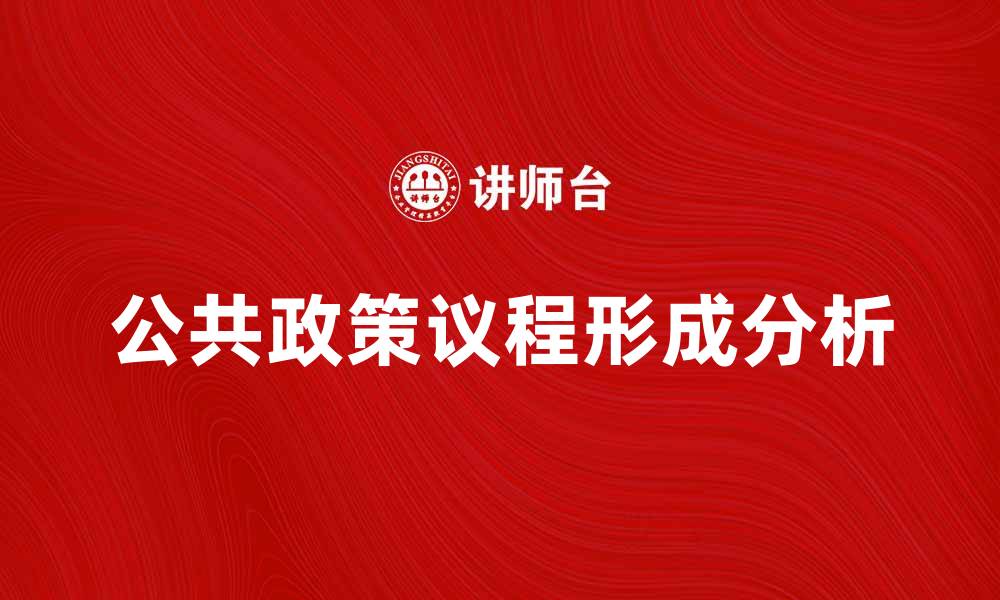 文章公共政策议程的形成与影响分析的缩略图