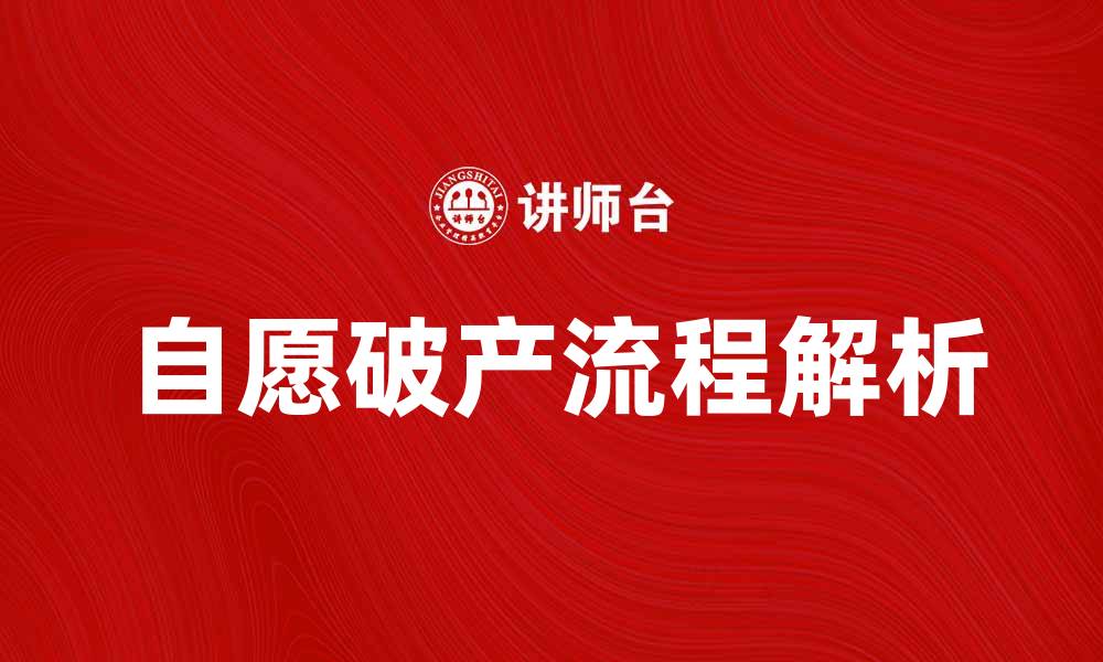 自愿破产流程解析