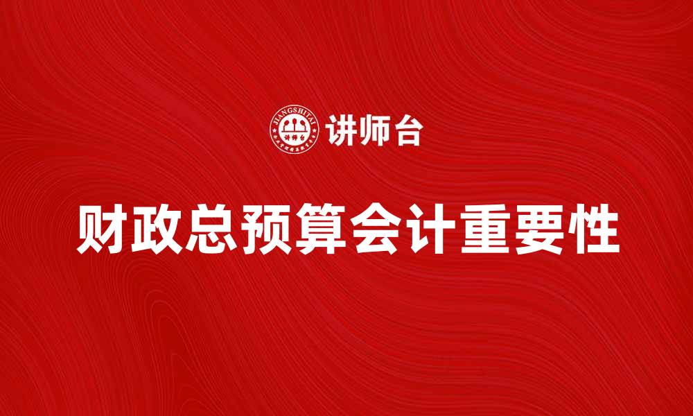 文章财政总预算会计的重要性与实施策略解析的缩略图