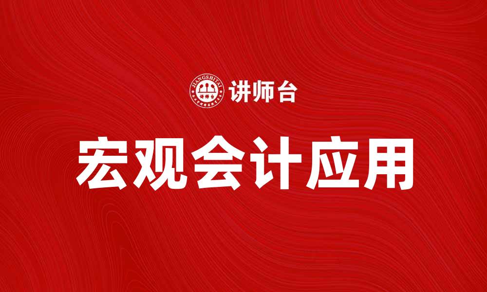 宏观会计应用
