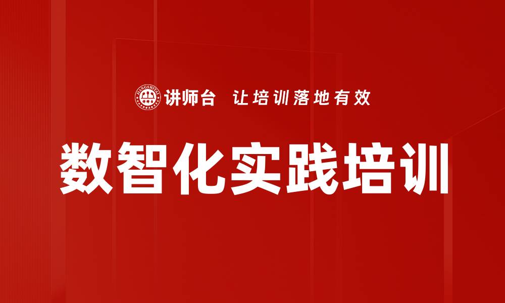 数智化实践培训