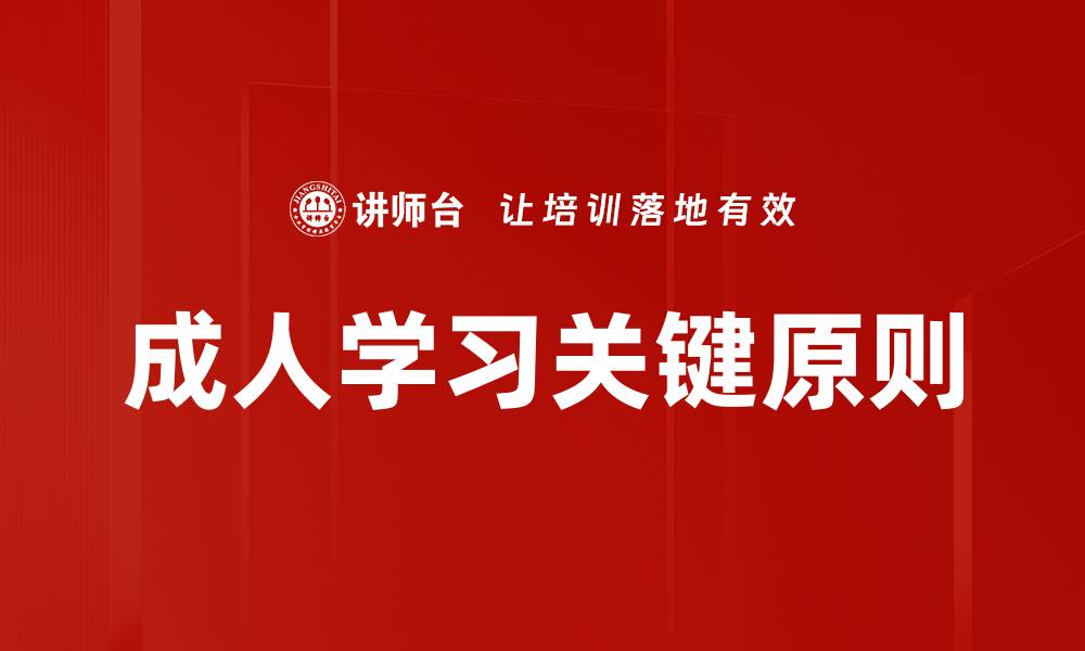 文章成人学习关键原则的缩略图