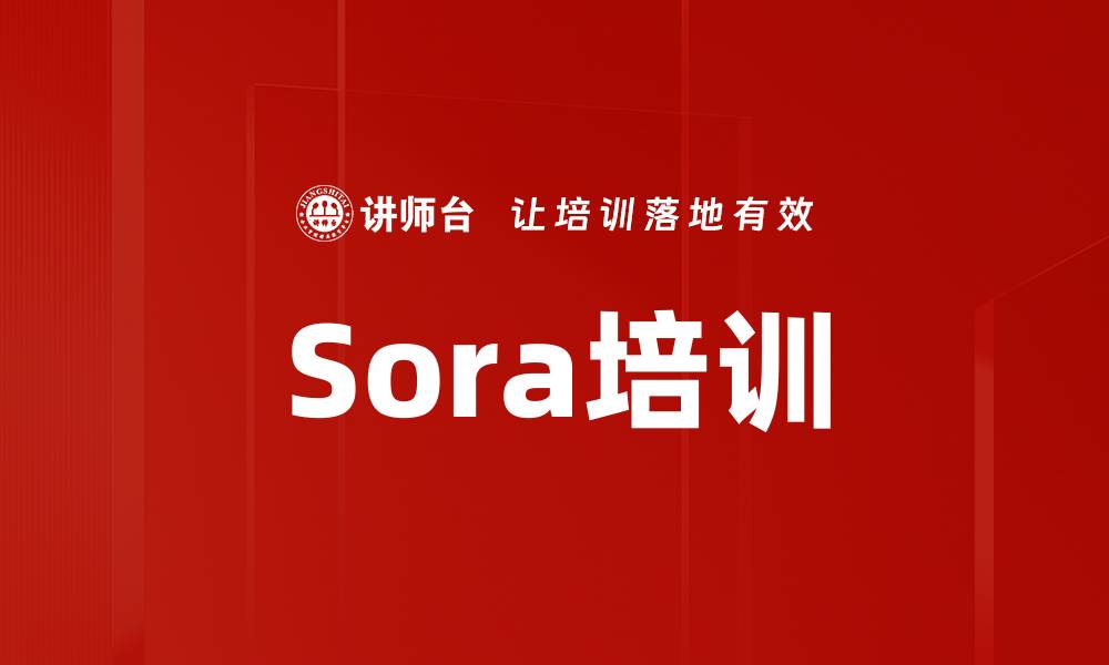 Sora培训