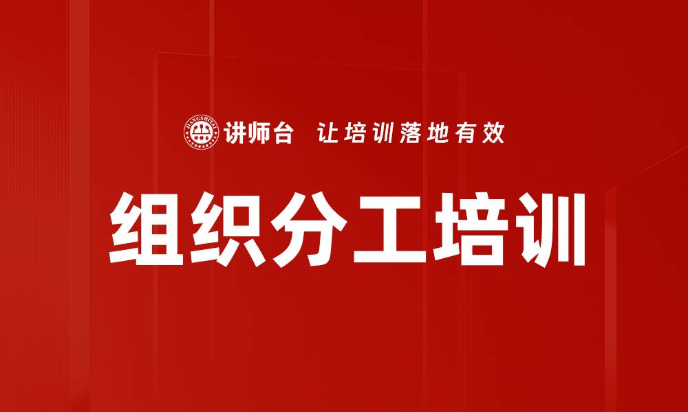 组织分工培训